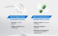 NDL Pro Health - REGENERACIÓN MUSCULAR - BCAAs 2:1:1 - Glutamina y Aminoácidos Ramificados - Después del Entreno - Frutas del bosque - 20 dosis - 300 g polvo - details 3