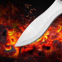 Cuchillo De Cocina Profesional Para Carne Y Frutas Hoja De Acero Inoxidable Mango De Madera Eco-amigable Uso Versátil En Cocina Y Camping - details 3