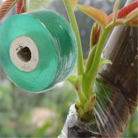 Cinta Adhesiva Para Jardín Y Arbolado 3CM X 100M Herramienta De Podar Y Engrafia Para Frutales Y Arbustos Rollo GT054 - details 3
