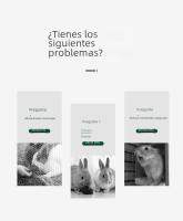 Cacerola De Alimentación Y Agua Automática Para Mascotas Pequeñas 500ML Plástico Adecuado Para Perros Gatos Pájaros Conejos Pigeon Parrot - details 1