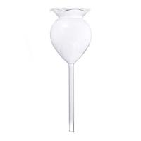 Dispositivo De Riego Automático En Forma De Animales Bola De Vidrio Transparente Ayudante De Riego Para Plantas Florpot Sistemas De Riego Por Derrame - details 11