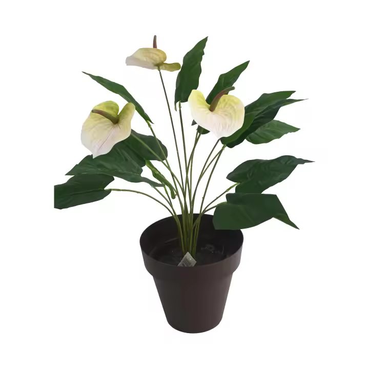 Poenia Arte Floral - Anthurium Artificial en Maceta 50cm - REF M630906 - Exótica y Moderna - Decoración Floral Tropical - 1