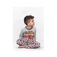 Pijama largo Harry Potter Gryffindor gris Raíz MERCHAN-STORE Pijama Harry Potter - details 3
