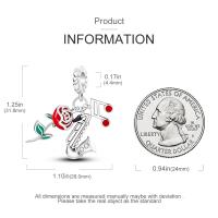 Colgante De Serie Trabajo Y Carrera En Color Plata Para Pulsera Pandora DIY Joyería Para Mujer Zirconia Metálica De Plata - details 36