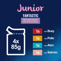 FELIX - Fantastic Junior (48x85 gr) - Comida Húmeda para Gatitos (Buey, Pollo, Salmón y Atún) (12x4x85 gr) - details 0