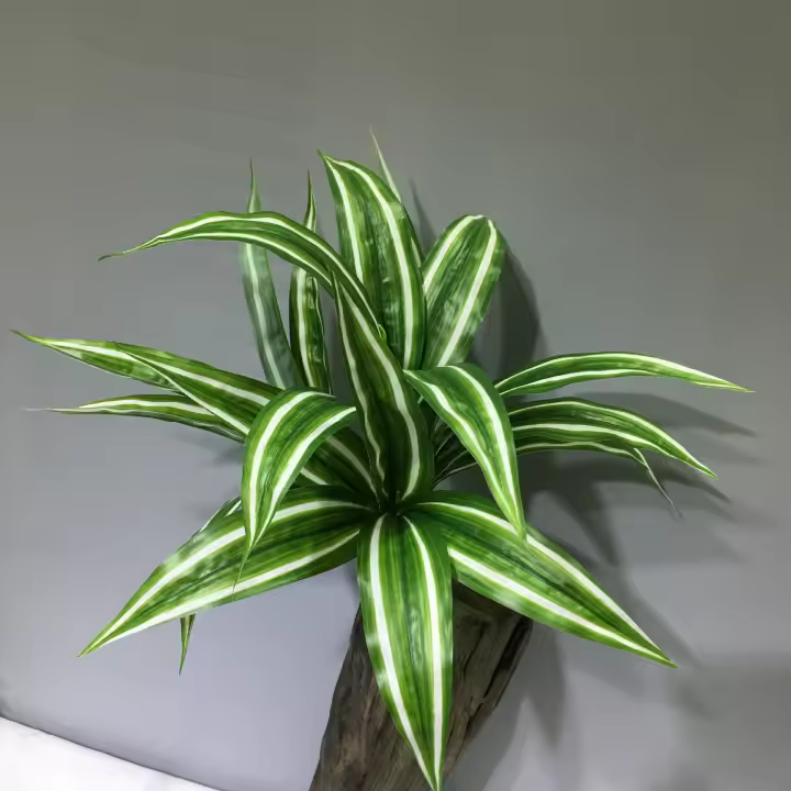 Hojas De Aloe Vera Artificiales 36cm Plástico Agave Falso Chlorophytum Comosum Para Decoración De Jardín Y Festivales - 1
