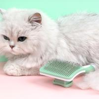 Cepillo De Aseo Para Mascotas 1pcs Eliminador De Pelo De Perro Y Gato Herramienta De Aseo Para Mascotas Material De Acero Inoxidable - details 8
