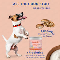 Suplemento probiótico en polvo para perros, 100 g - details 2