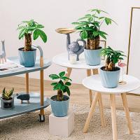 Maceta Creativa De Resina Para Plantas Verdes Y Gruesas Estilo Nórdico Sencilla Y Moderna Material De Plástico Polyresin - details 7