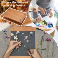 Kit De Prensa De Flores Para Manualidades Y Encuadernación DIY 1Set Prenda Grande De 11.6 X 7.87 Pulgadas En Madera - details 4