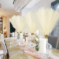 10PCS Ramas De Pampas Blancas Artificiales De 54-55CM Majestuosas Para Decoración De Bodas Hogar Y Bohemia Relleno De Vaso De Piso - details 0