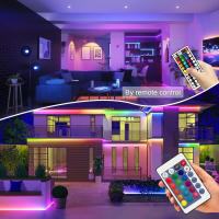 Tira De LED Neón RGB Con Control Remoto Y App Decoración Para Exterior Y Habitaciones Resistente Al Agua Flexible Y Multicolor - details 2