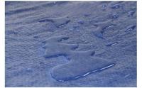 LILI HOME Toldo Lona Azul Protector de Polietileno 70 gramos por metro cuadrado. Dimensiones Disponibles: 2 x 3 / 3 x 4 / 4 x 5 / 5 x 8 / 6 x 8 / 6 x 10 / 8 x 12. Totalmente impermeable, ideal para proteger contra la lluvia y la humedad - details 1