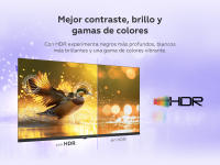 Smart TV 40 pulgadas Full HD Hey Google Official Assistant con control por voz. Televisor Android 11 - TD Systems K40DLK20GLE - details 5