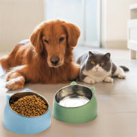 Tazón De Alimentos Para Gatos Y Perros De Acero Inoxidable Creativo Y Lindo Inclinado Para Mascotas Alimento Y Agua - details 0
