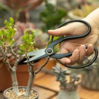 Tijeras Profesionales Para Bonsái Plantas Flores Podar Mariposas Precisión En Cortes Longitud De Mango Antideslizante Metal - details 5