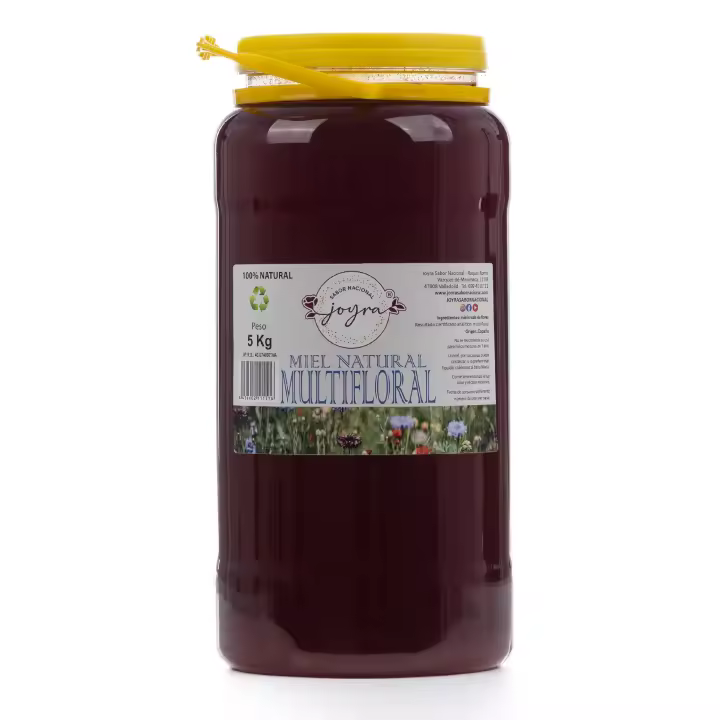 ARTE SABOR Miel 100% natural, pura, cruda, Multifloral. Garrafa de 5Kg. 13x13x27,5 Cm. - 1