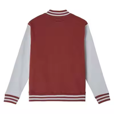 SUDADERA CON CREMALLERA COTTON BRUSHED HARRY POTTER GRYFFINDOR - 1