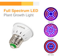 Lámpara De Crecimiento Para Plantas LED E27 Espectro Completo Foco Para Cultivo En Invernadero Y Tentación Hidroponía Con Varias Quantidades De LEDs 48/60/80/126/200/300 - details 11