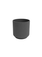 Planta Cuerno de ciervo Planta de helecho 12Cm + Maceta de cerámica platycerium bifurcatum exterior interior jardines colección de plantas plantas exóticas - details 3