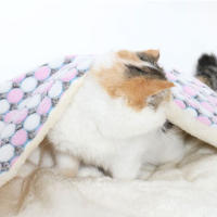 Manta Para Perros Y Gatos Invierno Cama De Mascota Gruesa Estilo Otoño E Invierno Alfombra Para Cages De Mascotas Material De Peluche De Coral Lavable Mecánicamente - details 1
