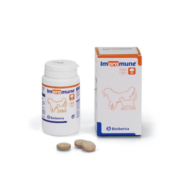 Bioiberica - Impromune 40 Comprimidos para Perros y Gatos - Sistema Inmunitario Envase Clínico 40 Comprimidos Palatables