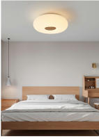 Lámpara De Techo LED Nórdica Para Iluminación Interior De Sala De Estar Dormitorio Baño Pasillo Y Cocina Decoración De Hogar Material Metálico Estilo Moderno - details 3