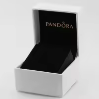 Pendientes de Aro en Plata de Ley Cruce Abrazo Brillante 293150C01，Incluye Caja Original - details 2
