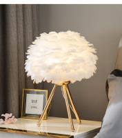 Lámpara De Mesa Para Dormitorio Con Plumas De Ganso Luz Decorativa Para Sala De Estar Y Café Romántica Para Boda Y Navidad Fuente De Iluminación LED Sin Baterías Fuente De Alimentación AC - details 2