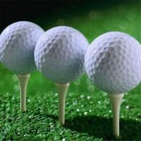 Bolas De Golf De Práctica 10 Pcs Blanco Suaves Para Interior Bola De Aire Verdadera Conformidad De Un Solo Pieza - details 1
