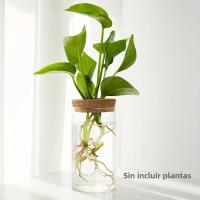 1pc Vaso De Cristal Para Plantas De Esterilidad Decoración De Escritorio Estación De Propagación De Plantas Jarrón De Mesa - details 3