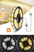 Tira De Luces LED Con Sensor De Movimiento DC 5V USB 2835 Luz De Fondo Para TV Cocina Armario Bajo Luz Diode LED Hand Sweep Waving - details 12
