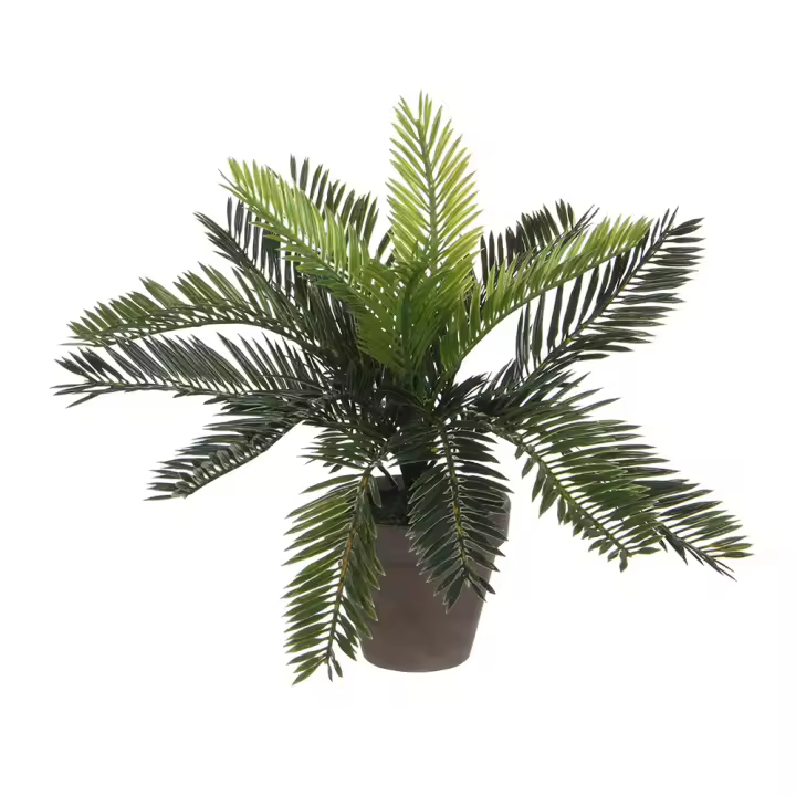 PALMERA SAGO (CYCA REVOLUTA) PVC CON MACETA GRIS 40x40x33cm - 1