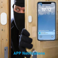 Sensor Magnético De Puerta Y Ventana EWelink ZigBee Alarma Inalámbrica Detector De Seguridad Para El Hogar Compatible Con Alexa ZHA - details 6
