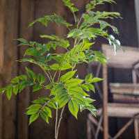 Arbusto Artificial De Ficus Grande 76-140cm Hojas De Palma Verdes Postizas Para Decoración De Jardín Y Hogar Material Plástico - details 9