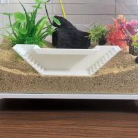 Túnel Para Acuario De Observación Subterránea Con Ventana Oculta Para Peces Y Camarones Material PLA Peso 0.065kg - details 4