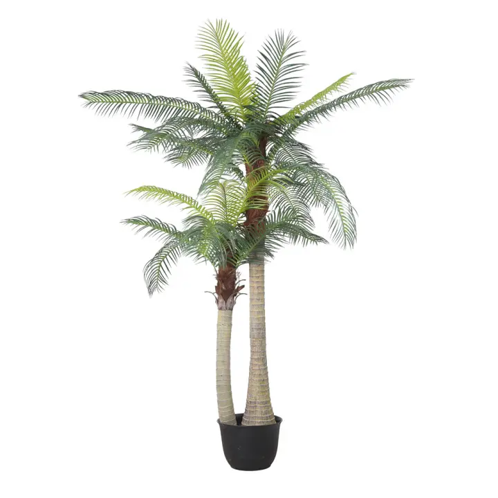 Poenia Arte Floral - Planta Artificial de Palma Areca 215cm - REF 631269 - Decoración Realista - 1