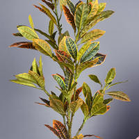 Planta Artificial De Tamaño Grande Codiaeum Falso 80-120cm Ficus Fiddle Hojas De Plantas Tropicales Para Decoración Del Hogar Material De Seda Origen China - details 9