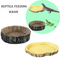 Tazón De Resina Para Reptiles Acuario De Alimentos Y Agua Para Tortugas Lagartos Escorpiones Caracoles Suministros De Mascotas Tipo De Alimento: Vegetal - details 0