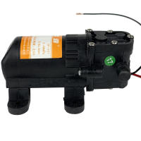 Bomba De Agua Eléctrica Diáfragma DP-521 12V 220V 70PSI 3.5L/min Para Lavar Coches Y Agricultura Resistente Y De Alta Presión - details 7