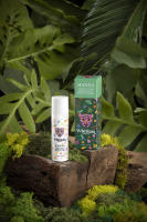 Contorno de ojos Hanna de Wild Rain Cosmetics 30 ml - details 4