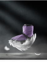 Botas de Baile de Ballet Jazz para Mujeres y Niñas Calzado de Práctica de Algodón Suela Suave y Cálido para Invierno - details 1