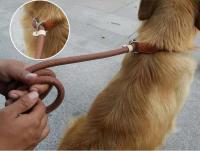Correa Para Perros De Tela Tejida a Mano De Alta Resistencia Con Anillo Ajustable Correa De Entrenamiento Para Perros Medianos Y Grandes - details 8