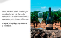 Codorníu Gran Plus Ultra - Cava Brut Nature, 100% Chardonnay - 75cl - details 2