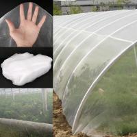 Red De Protección Para Plantas De Jardín Y Estufa 60malla Blanco PE Insecto Control Y Protección Contra Plagas Fruita Y Verduras - details 9