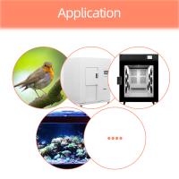 Controlador De Temperatura ETC-3000 Termómetro Digital Regulador Mini Termostato Con Doble Sensor NTC Para Refrigerador 220V - details 6