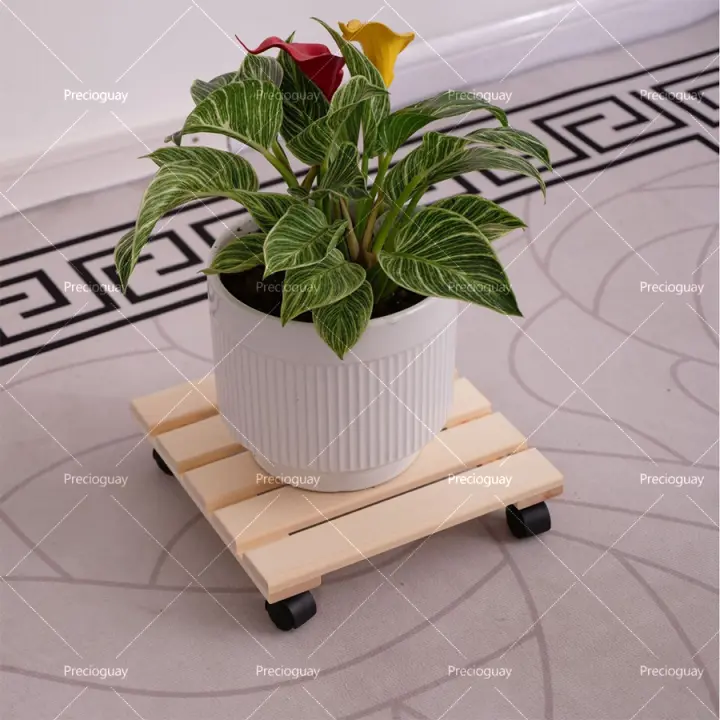 Diseña tu propio soporte para plantas con ruedas | Soporte para plantas con ruedas para uso interior | Madera maciza FSC, haya natural | Capacidad de carga 100 kg | - 1