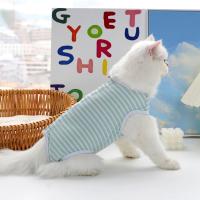 Traje De Recuperación Para Gatos Y Perros Pequeños Antiladridos Ropa Respirable Anti-arrugas Vestido Clásico Para Cirugía De Desamamamiento - details 8