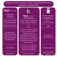 Magnesio Complex Vitalnatura | Citrato 1593 mg + Bisglicinato 600 mg (375mg Elemental) + Vitaminas B5, B6 y Ashwagandha Pura | Potencia y Energía Natural, Reduce el Estrés y el Cortisol, Músculos Fuertes, Sueño Reparador y Relajante | 240 Cápsulas - details 3