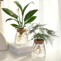 Estación De Cría De Plantas En Vaso De Vidrio 1pc Soporte Para Flores Y Vaso De Cultivo Ecológico Para Escritorio Decoración De Oficina Y Hogar - details 0